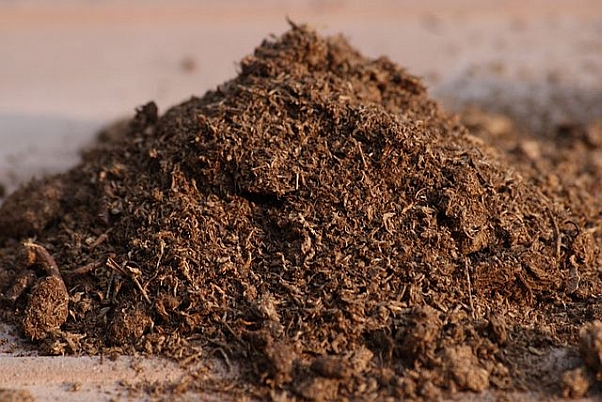 Most of the peat we use in aquaria is formed from mosses of the genus Sphagnum and sold in both dried and processed formats