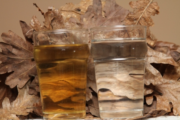 Comparison of water stained by the addition of leaf litter (left) and fresh tap water (right)