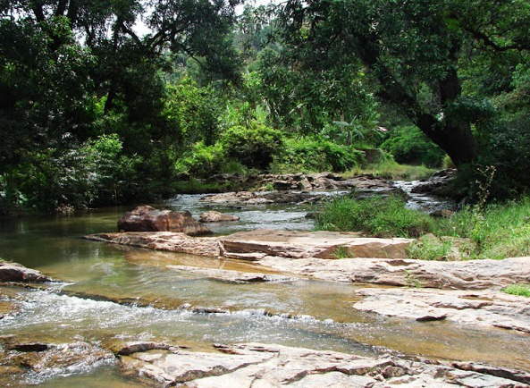 Fluvial habitat near Sakleshpur, Karnataka state, southern India.