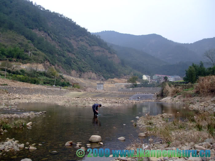 Habitat in Zhejiang province where a total of 7 Rhinogobius spp. were found living sympatrically in March 2009.