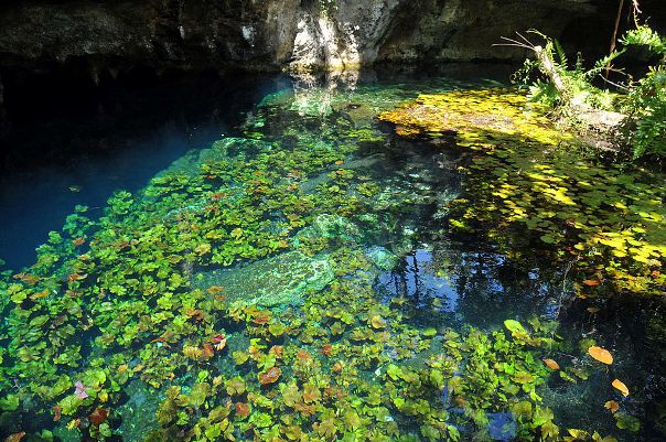 'Grand' cenote at Tulum, Yucatan
