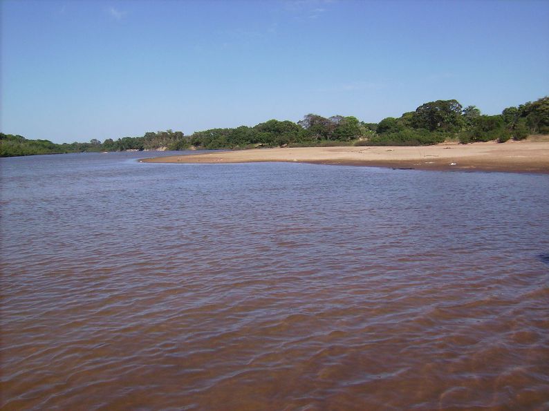 Type locality is Ilha do Bananal (Bananal Island) on the rio Araguaia in Brazil, here pictured in Formoso do Araguaia municipality.
