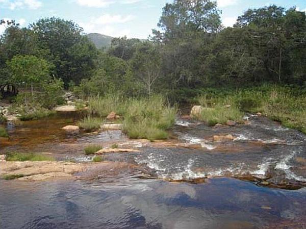 Type locality of Hyphessobrycon brumado, Brazil, Bahia, Rio de Contas Municipality, rio de Contas drainage, rio Brumado, at Ponte do Coronel.