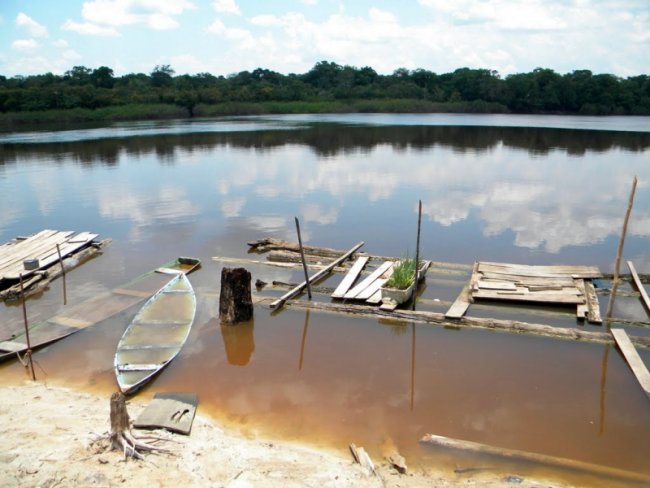 The Unini is a blackwater river as seen in this image taken at Tapira do Rio Unini.