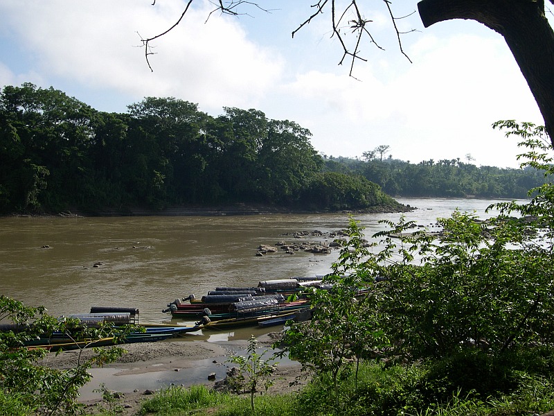 The Río Usumacinta is a natural habitat of T. meeki, seen here from Chiapas state, Mexico, with Guatemala on the far bank.