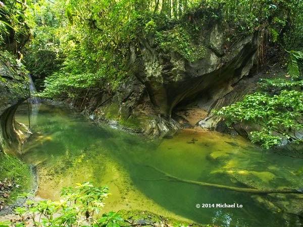 Another view of the limestone stream habitat in Sarawak.