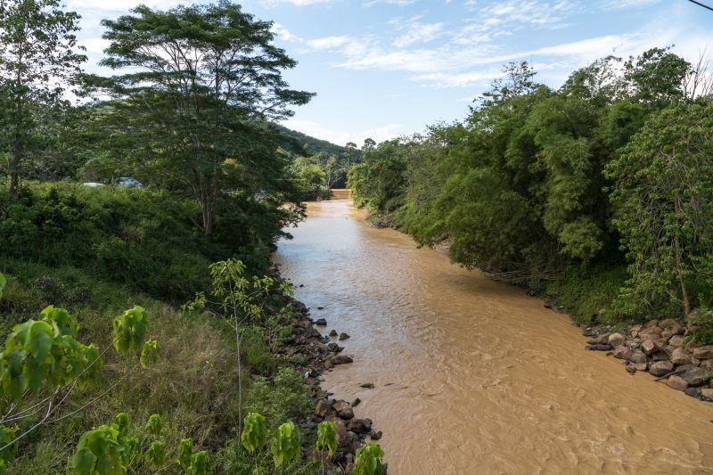 The Brantian River in eastern Sabah state, Malaysian Borneo, is a natural habitat of this species.