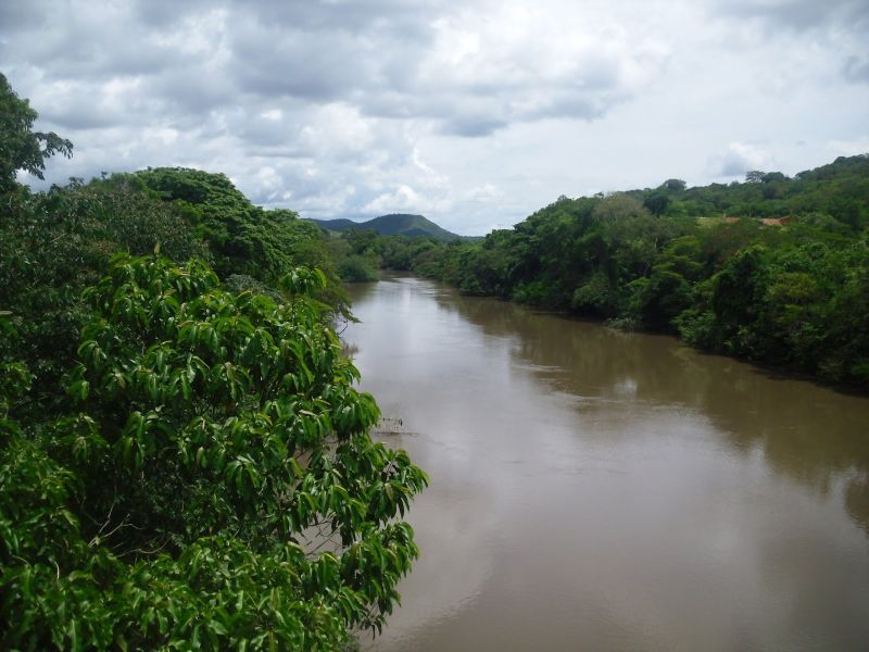 This species occurs in the río Caroní, a tributary in the lower Orinoco basin.