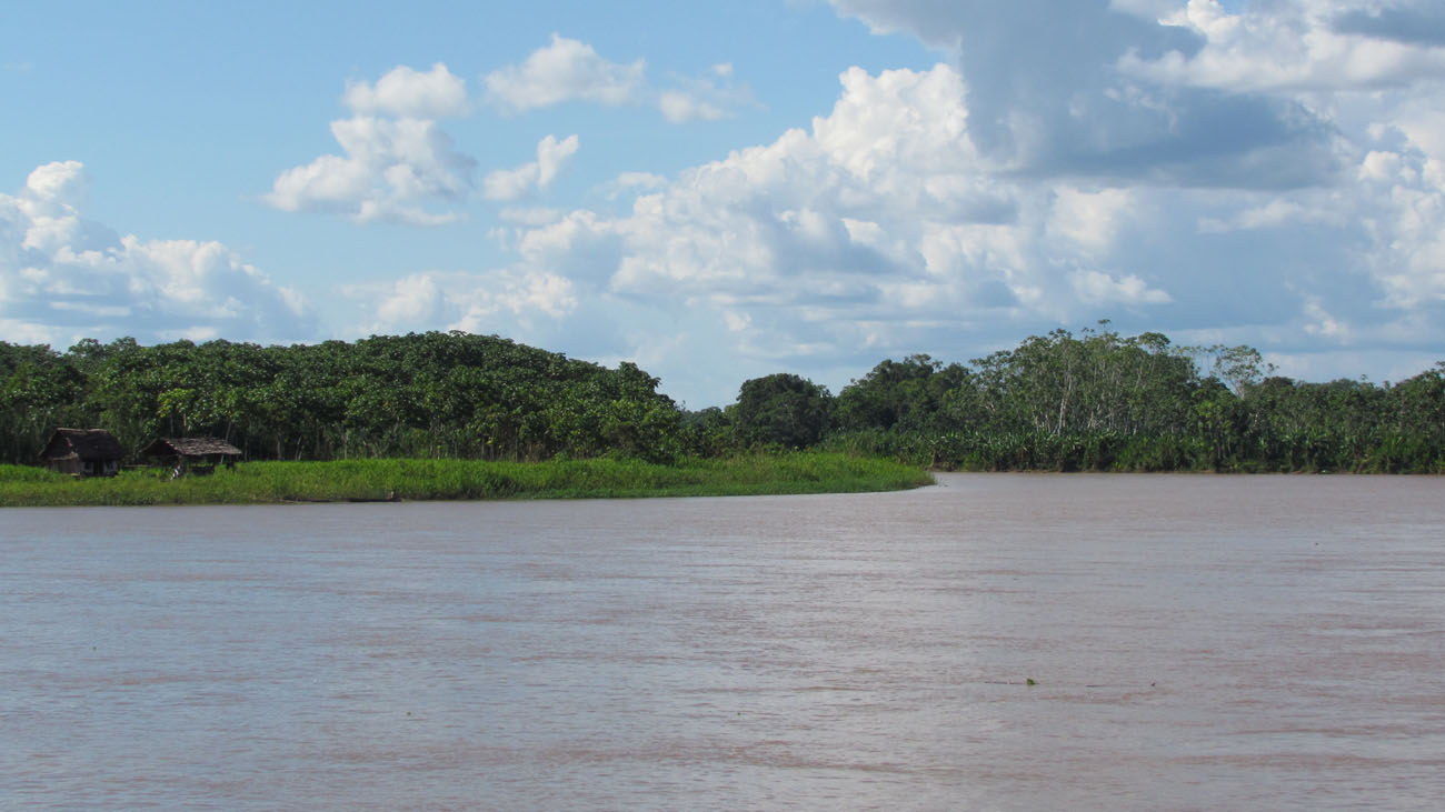 This species was described from the rio Huallaga basin, in the vicinity of Yurimaguas, Loreto region, northern Peru.
