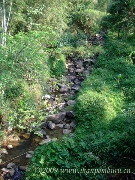 Habitat in southern China.