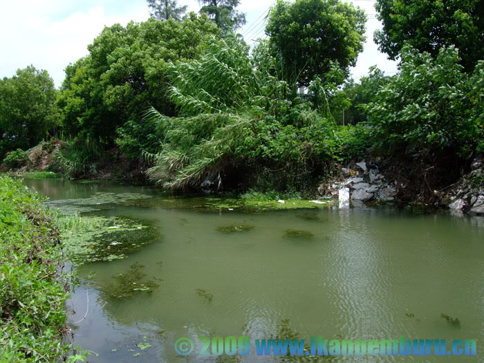 Habitat at an unspecified locality in southern China.